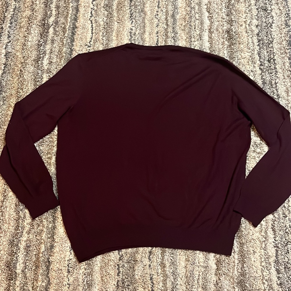 Polo by Ralph Lauren 100% Merino Wool V-Neck Sweater - Picture 5 of 5